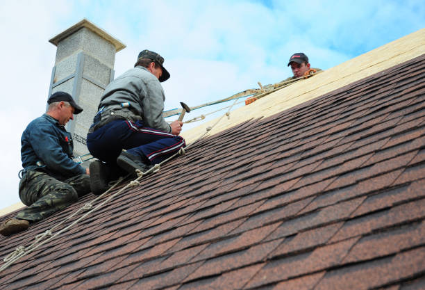 Quick and Trustworthy Emergency Roof Repair Services in Duboistown, PA